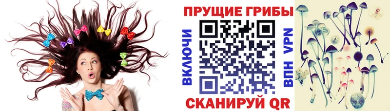 omg   Чадан  Псилоцибиновые грибы мухоморы 